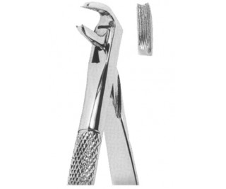 Extracting Forceps English pattern